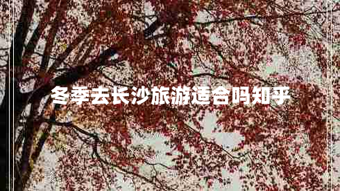 冬季去長(cháng)沙旅游適合嗎知乎