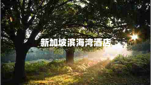 新加坡濱海灣酒店