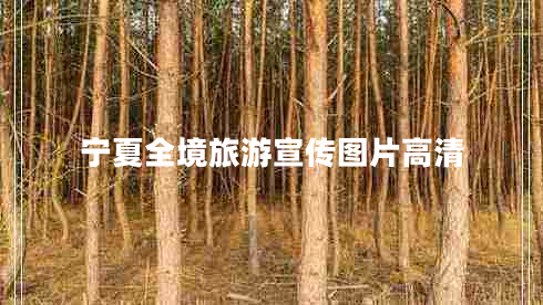 寧夏全境旅游宣傳圖片高清