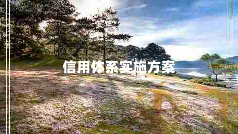 信用體系實(shí)施方案