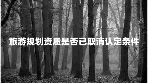 旅游規劃資質(zhì)是否已取消認定條件