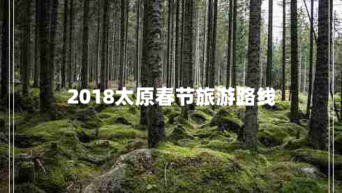2018太原春節旅游路線(xiàn)