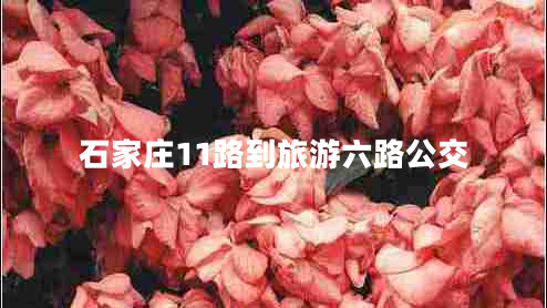 石家莊11路到旅游六路公交