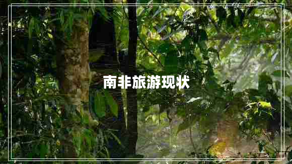 南非旅游現狀