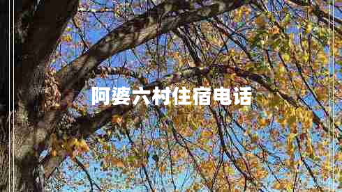 阿婆六村住宿電話(huà)