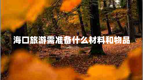 海口旅游需準備什么材料和物品