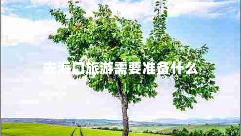 去海口旅游需要準備什么