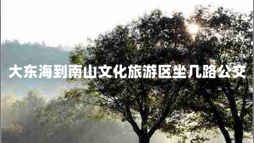 大東海到南山文化旅游區坐幾路公交