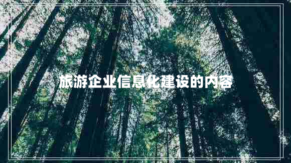 旅游企業(yè)信息化建設的內容