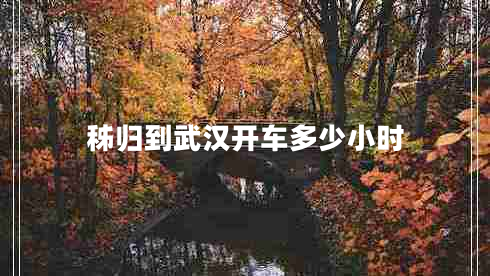 秭歸到武漢開(kāi)車(chē)多少小時(shí)