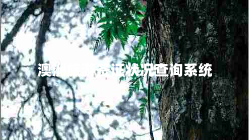 澳洲旅游簽證狀況查詢(xún)系統