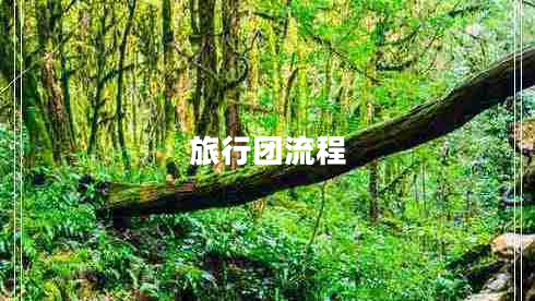旅行團流程