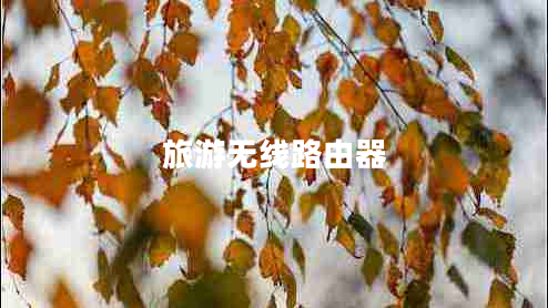 旅游無(wú)線(xiàn)路由器