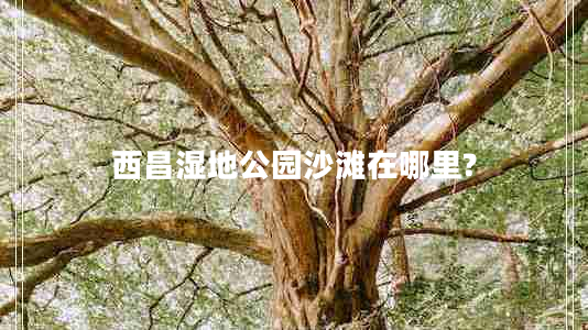 西昌濕地公園沙灘在哪里?