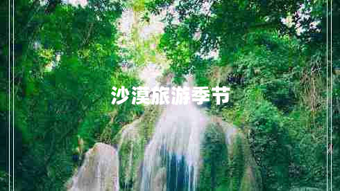 沙漠旅游季節