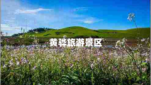黃驊旅游景區