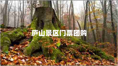 廬山景區門(mén)票團購