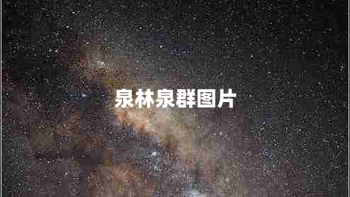 泉林泉群圖片