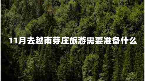 11月去越南芽莊旅游需要準備什么