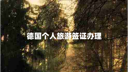 德國個(gè)人旅游簽證辦理