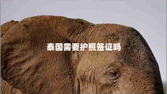 泰國需要護照簽證嗎