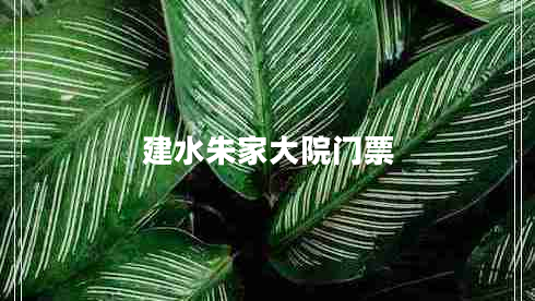 建水朱家大院門(mén)票