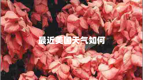 最近美國天氣如何