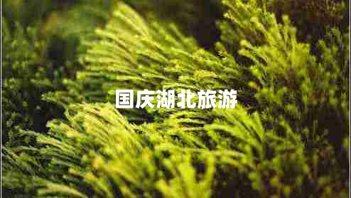 國慶湖北旅游