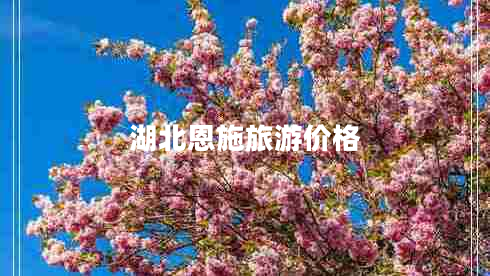 湖北恩施旅游價(jià)格