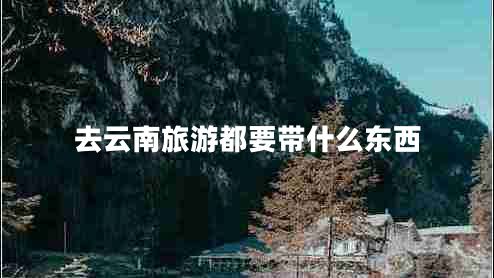 去云南旅游都要帶什么東西