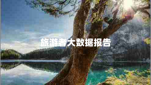 旅游者大數據報告