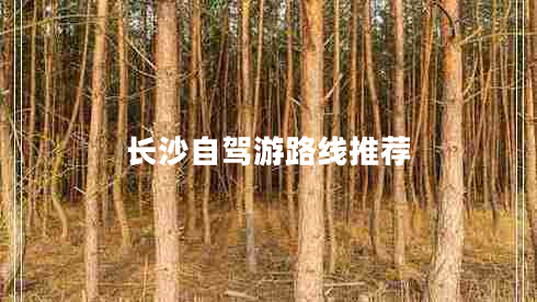 長(cháng)沙自駕游路線(xiàn)推薦
