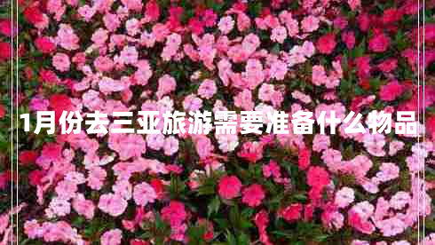 1月份去三亞旅游需要準備什么物品