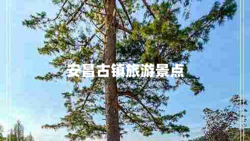 安昌古鎮旅游景點(diǎn)