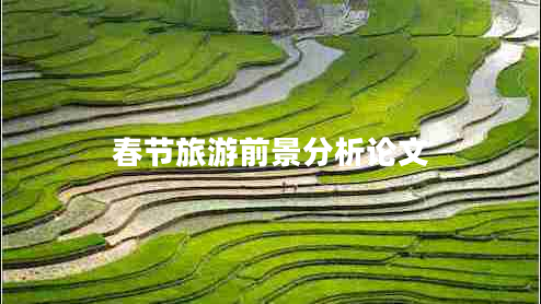 春節旅游前景分析論文