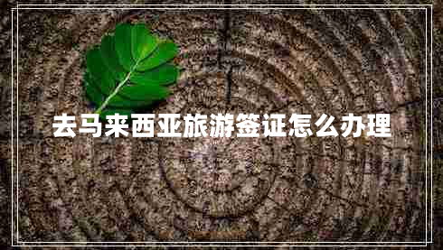 去馬來(lái)西亞旅游簽證怎么辦理