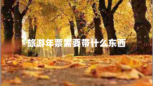 旅游年票需要帶什么東西
