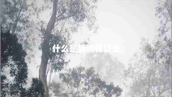 什么是旅游保證金