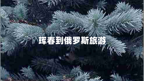 琿春到俄羅斯旅游
