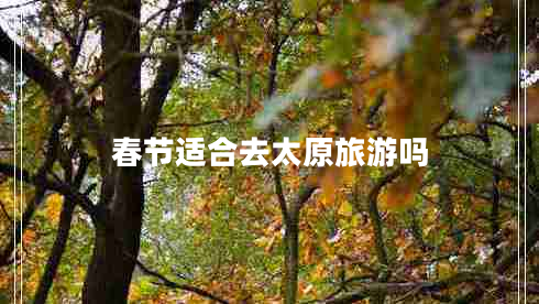 春節適合去太原旅游嗎