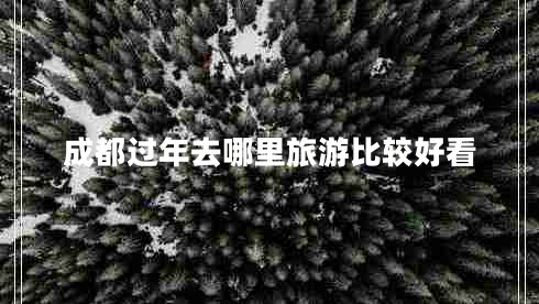 成都過(guò)年去哪里旅游比較好看