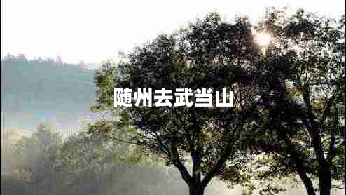 隨州去武當山
