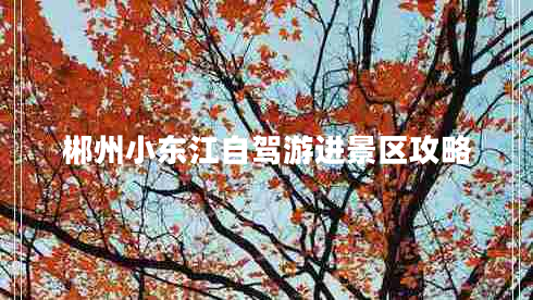 郴州小東江自駕游進(jìn)景區攻略