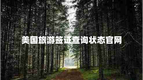 美國旅游簽證查詢(xún)狀態(tài)官網(wǎng)
