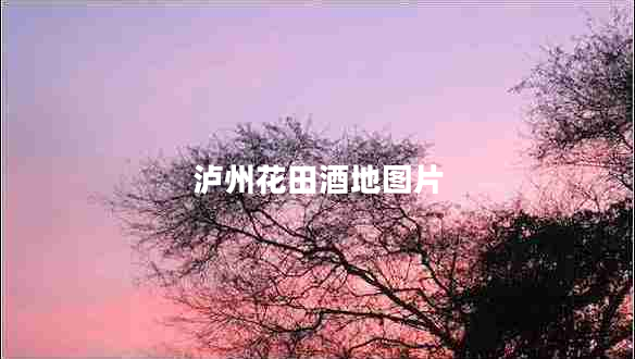 瀘州花田酒地圖片