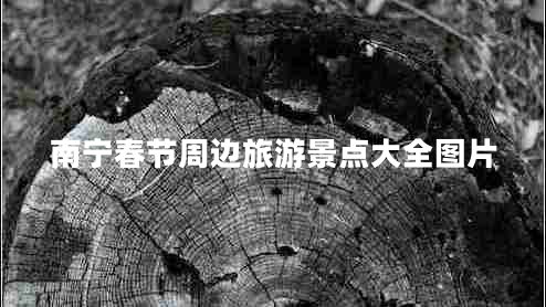 南寧春節周邊旅游景點(diǎn)大全圖片