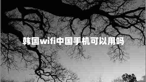 韓國wifi中國手機可以用嗎