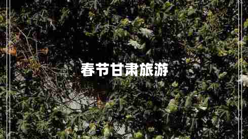 春節甘肅旅游