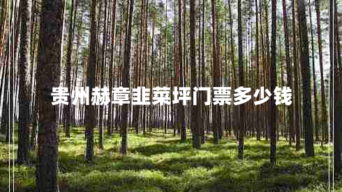 貴州赫章韭菜坪門(mén)票多少錢(qián)