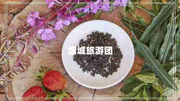 增城旅游團